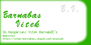 barnabas vitek business card